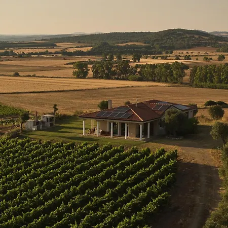 Colle Dei Vigneti - Sardinian Vineyard Estate Villa *