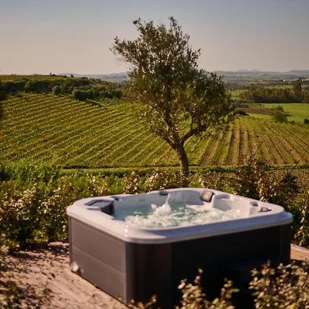 Colle Dei Vigneti - Sardinian Vineyard Estate Ussana