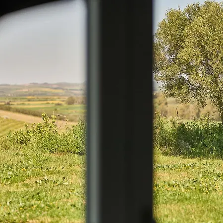 Вилла Colle Dei Vigneti - Sardinian Vineyard Estate Ussana