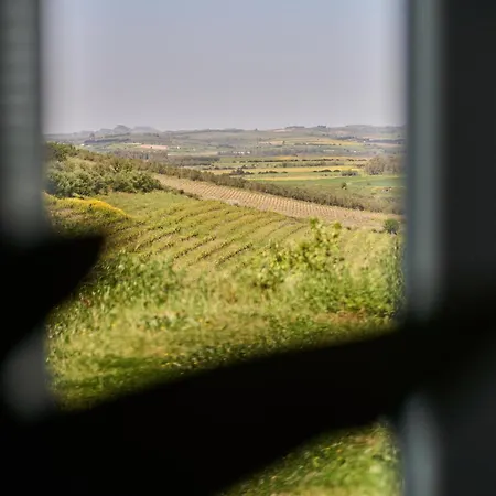 Colle Dei Vigneti - Sardinian Vineyard Estate Vila
