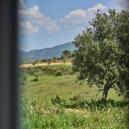 Colle Dei Vigneti - Sardinian Vineyard Estate *