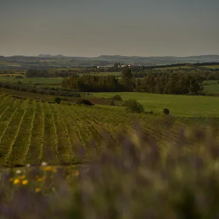 Вилла Colle Dei Vigneti - Sardinian Vineyard Estate