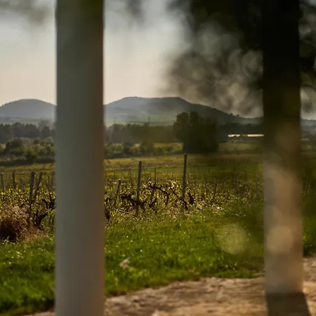 Colle Dei Vigneti - Sardinian Vineyard Estate