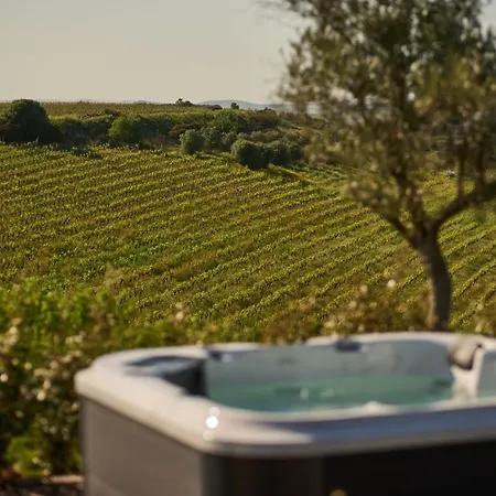 Colle Dei Vigneti - Sardinian Vineyard Estate Vila Ussana