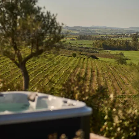Colle Dei Vigneti - Sardinian Vineyard Estate Vila