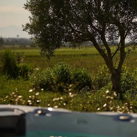 Вилла Colle Dei Vigneti - Sardinian Vineyard Estate Ussana