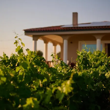 Colle Dei Vigneti - Sardinian Vineyard Estate 别墅 Ussana