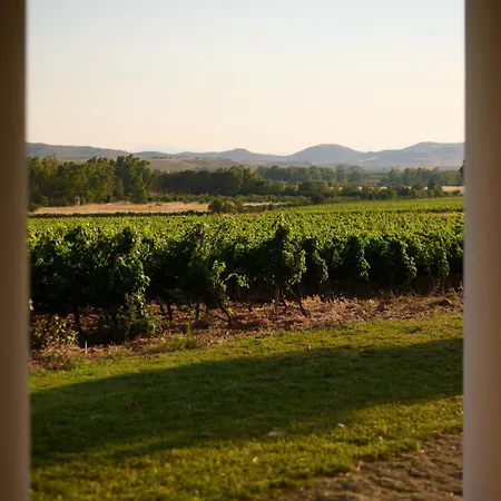 Вилла Colle Dei Vigneti - Sardinian Vineyard Estate *