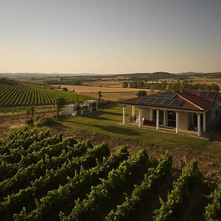 Colle Dei Vigneti - Sardinian Vineyard Estate * Ussana