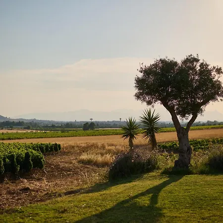 Вилла Colle Dei Vigneti - Sardinian Vineyard Estate *