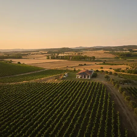Vila Colle Dei Vigneti - Sardinian Vineyard Estate